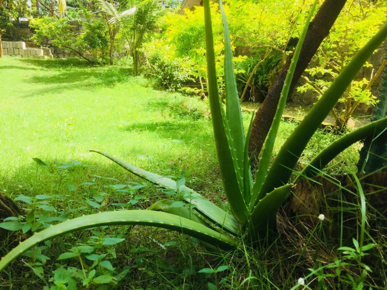 Ganesh House Homestay Kovalam Luaran gambar