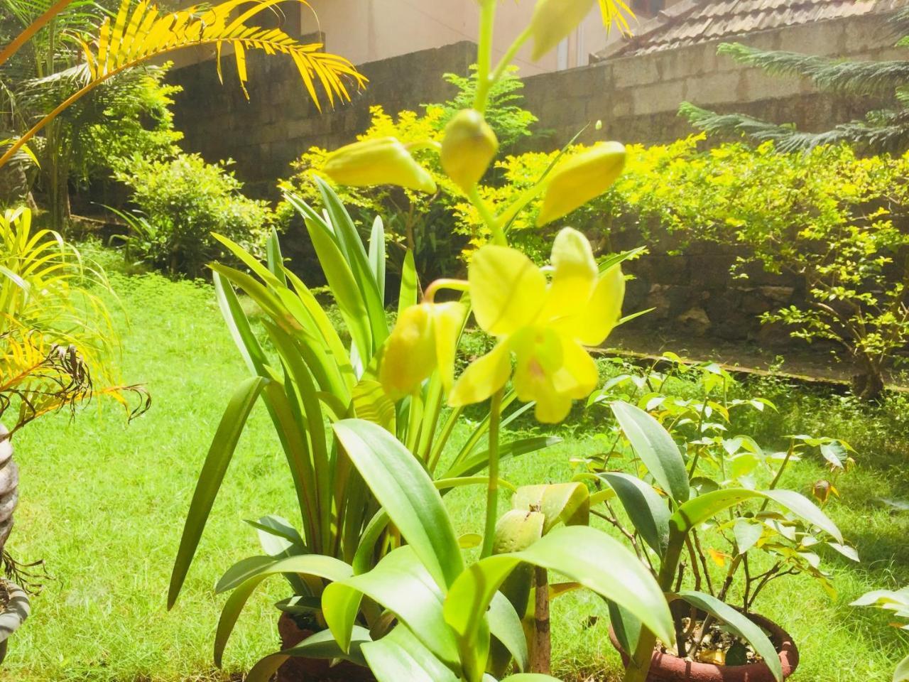 Ganesh House Homestay Kovalam Luaran gambar